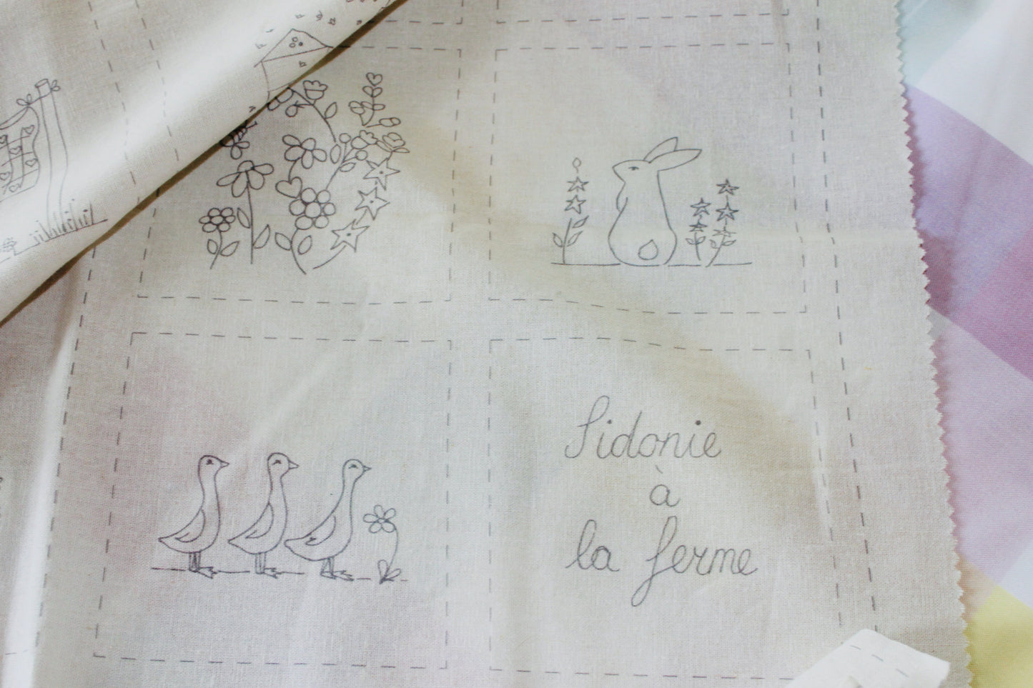 Sidonie à la ferme